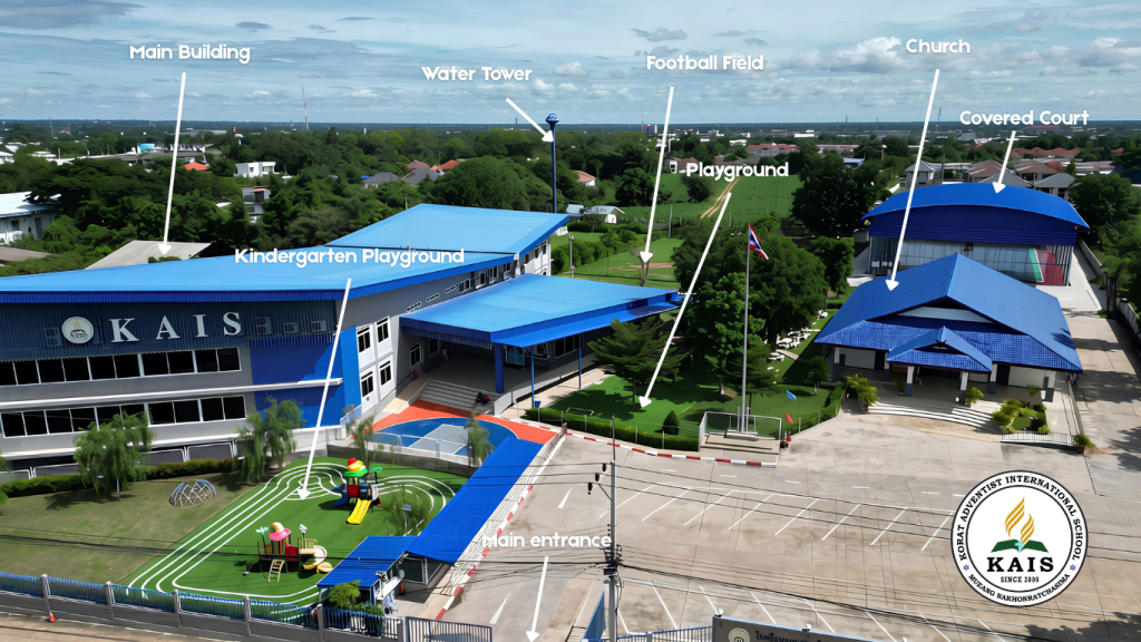 Drone View